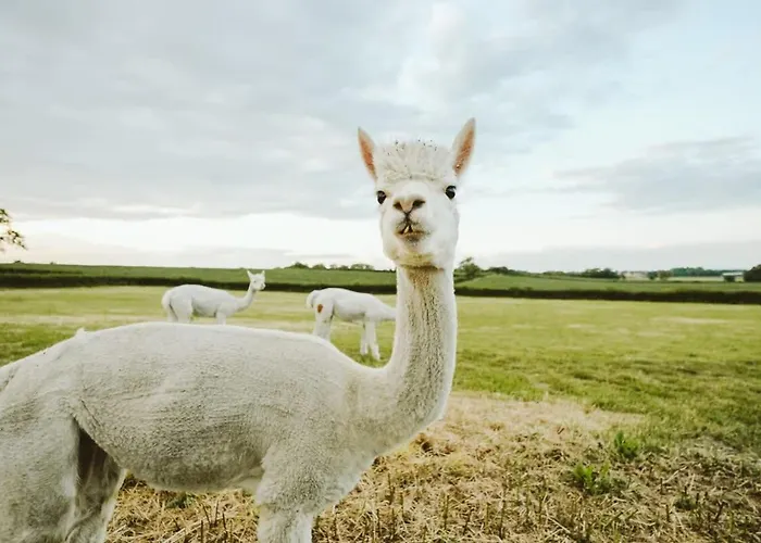 Casa de Férias The Hay Barn - Hopewell *