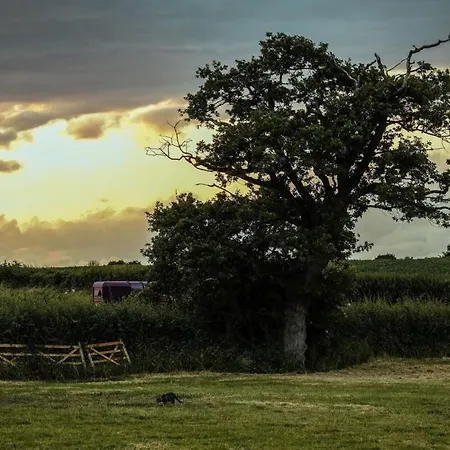 Holiday home The Hay Barn - Hopewell