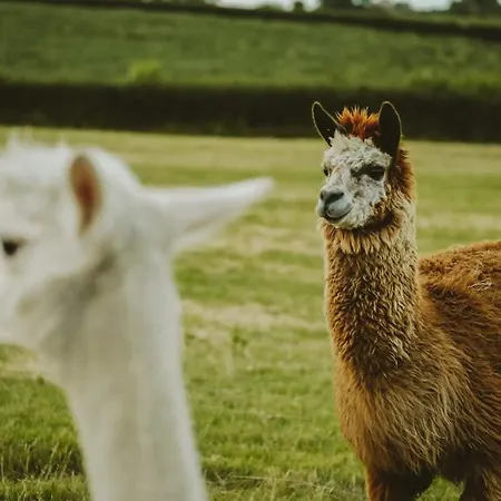 The Hay Barn - Hopewell *