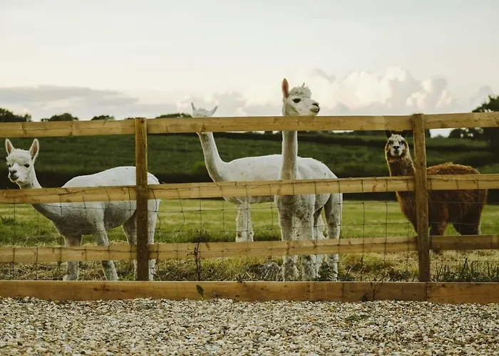 The Hay Barn - Hopewell Holiday home *