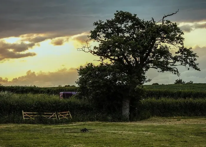 度假居 The Hay Barn - Hopewell