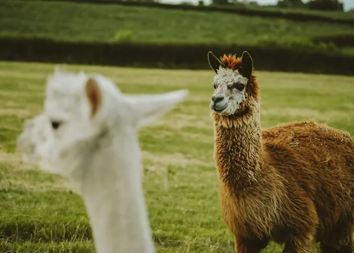 The Hay Barn - Hopewell *