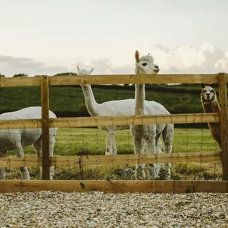 The Hay Barn - Hopewell Ferienhaus *