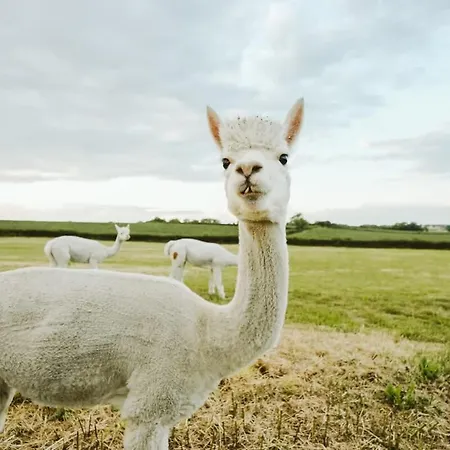 بيت للعطل The Hay Barn - Hopewell *